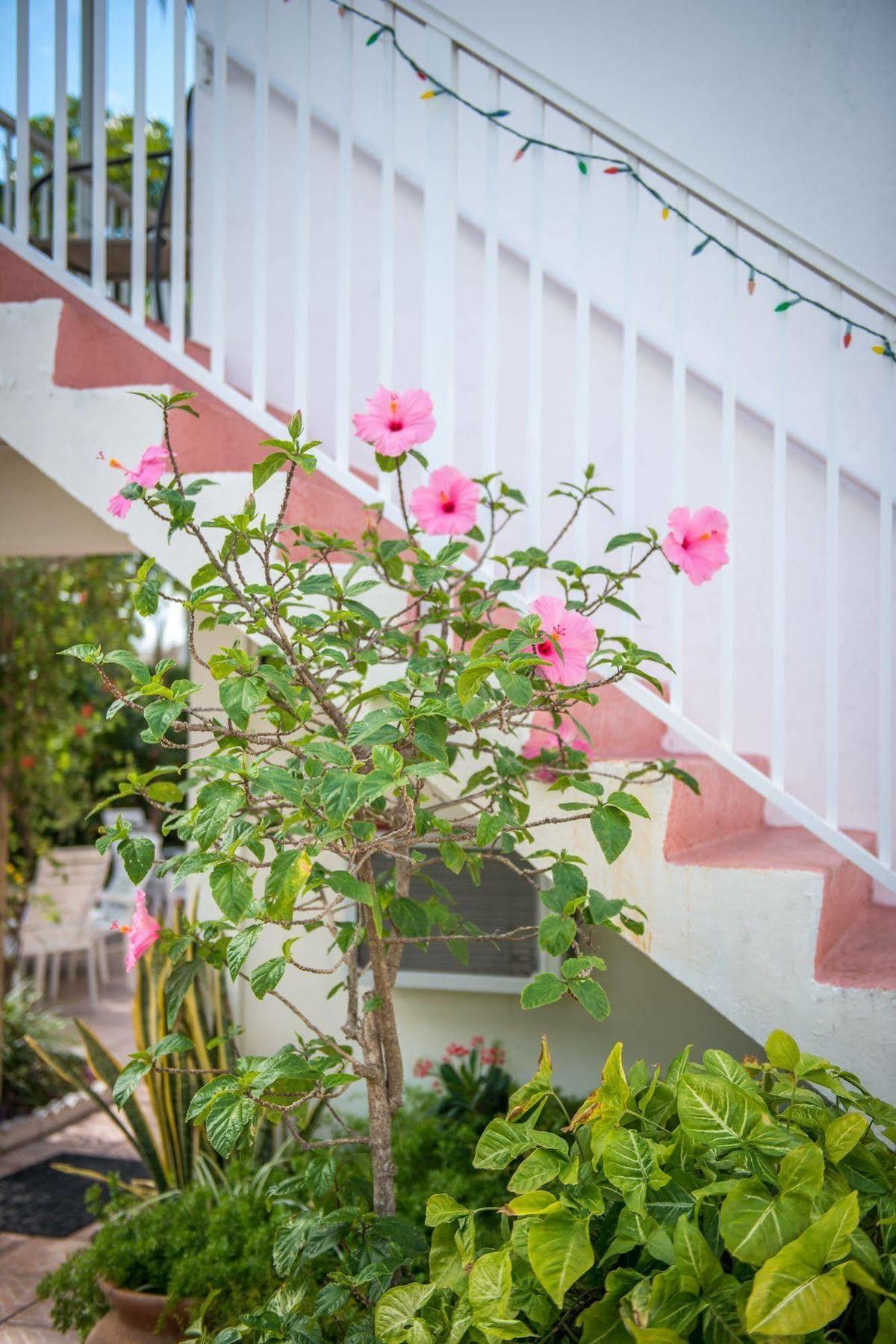 Shore Haven Resort Inn Lauderdale-by-the-Sea Exterior foto